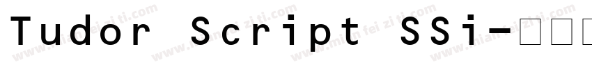 Tudor Script SSi字体转换